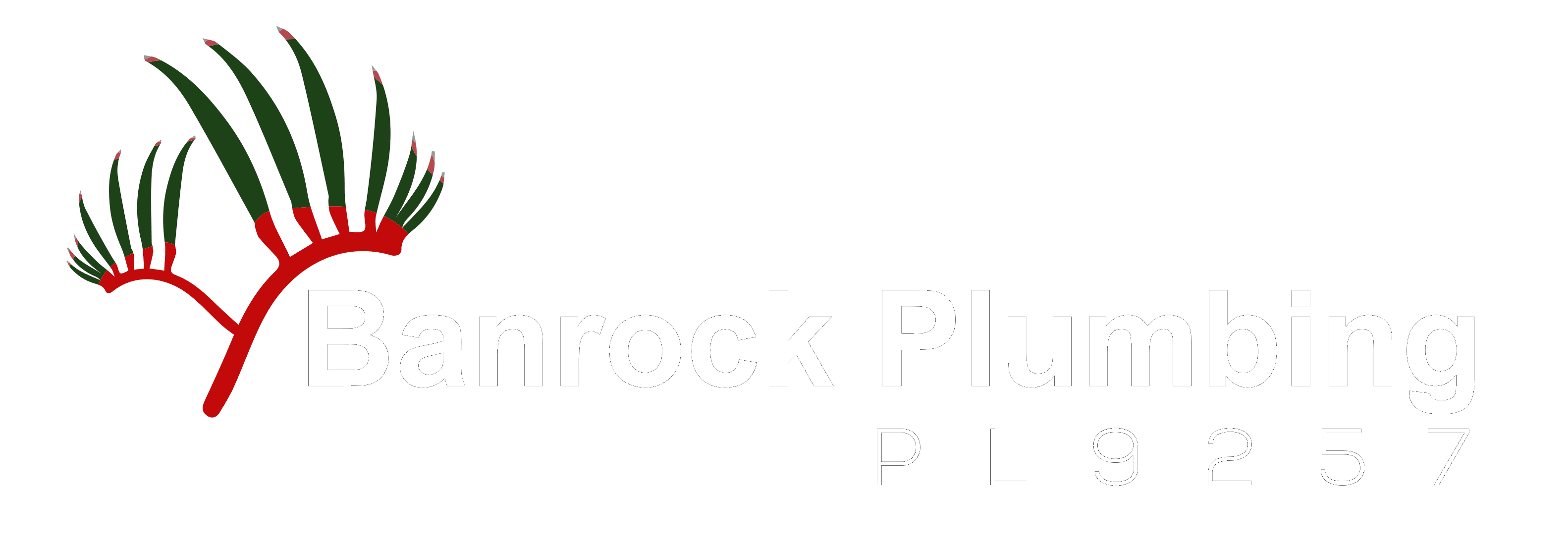 Banrock Plumbing