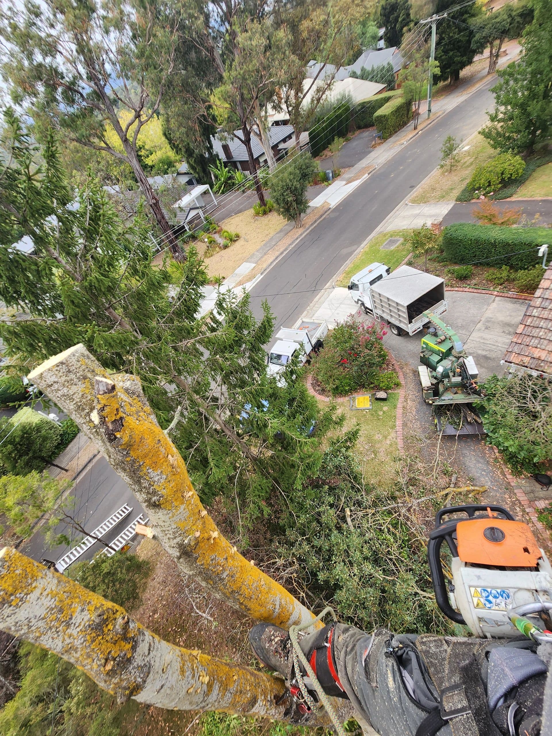 Hillside Tree Care