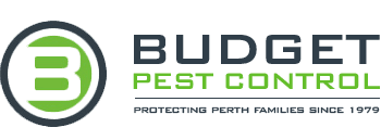 Budget Pest Control