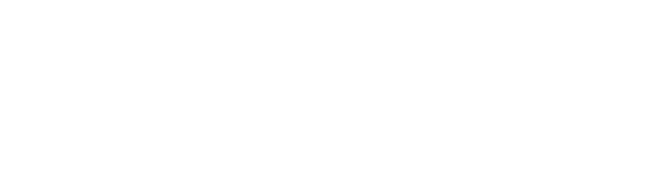 DevelopWise