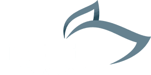 Insight Landscapes