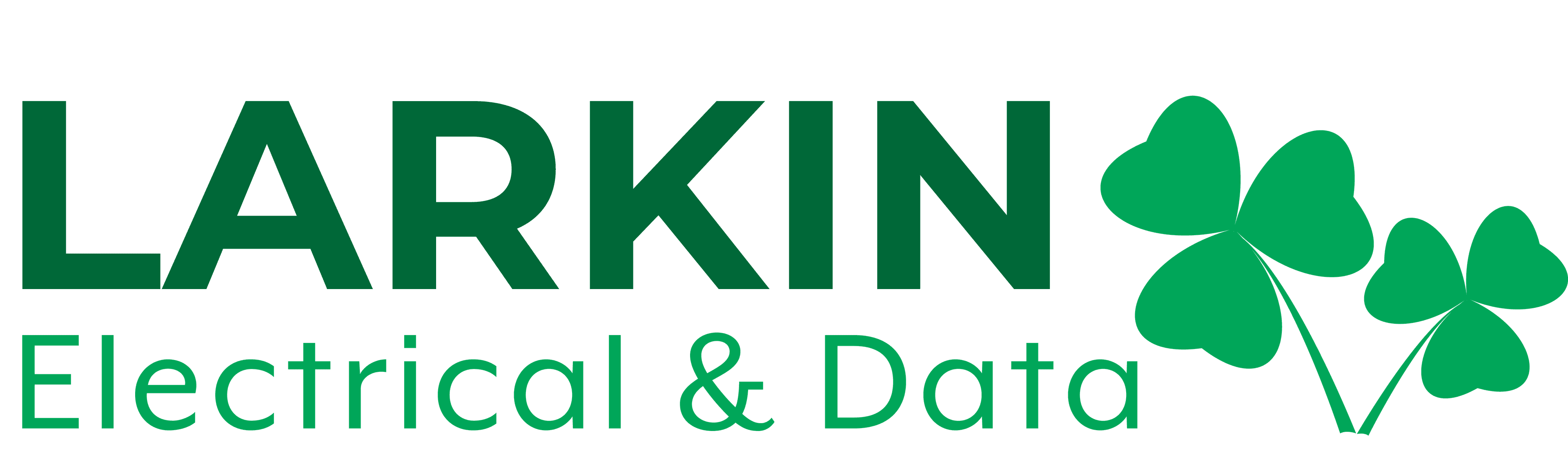 Larkin Electrical & Data
