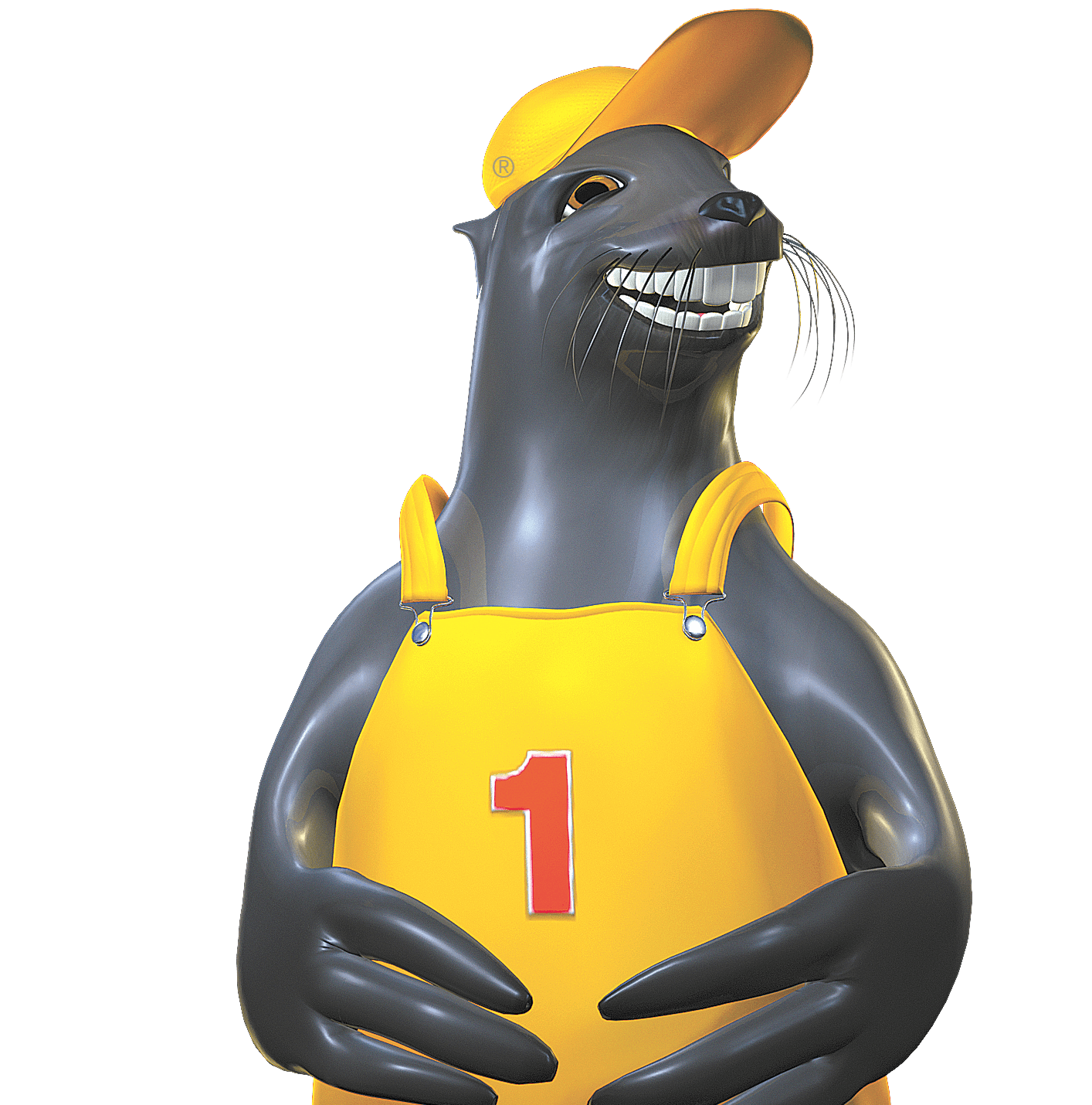 Roof Seal