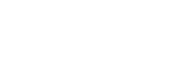 SA Local Roof Repairs
