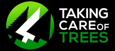 Taking Care of Trees
