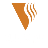 Vinsan Home Demolition
