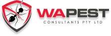 WA Pest Consultants