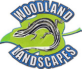 Woodland Landscapes