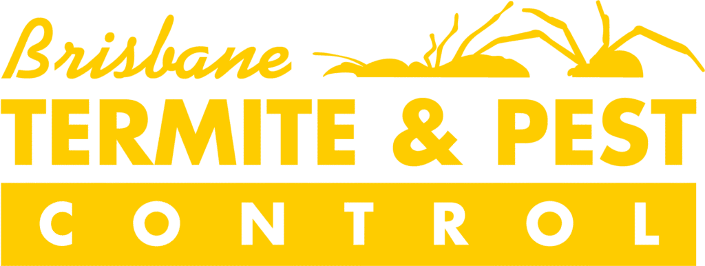 Brisbane Termite & Pest Control