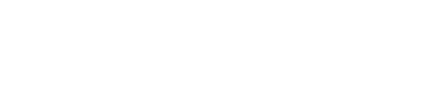 Southern Industrial Plumbing Group