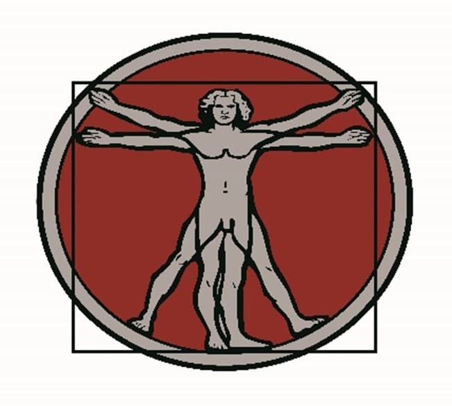 Da Vinci Projects