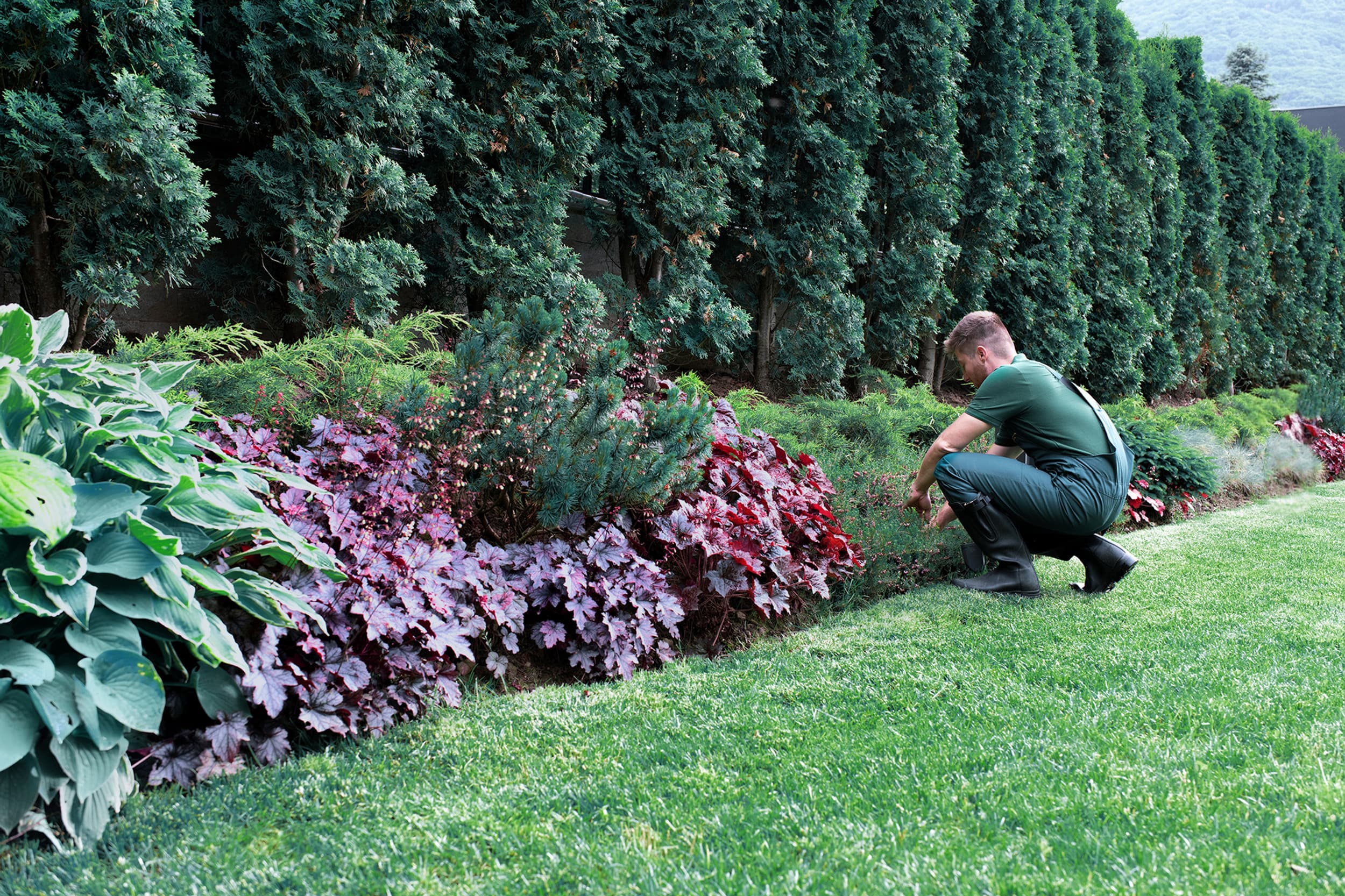 Green Bliss Gardens & Lawn Mowing