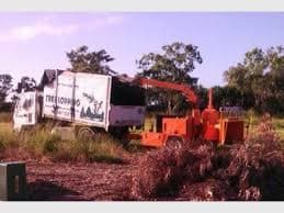 Ayr-Bowen Tree & Yardworx