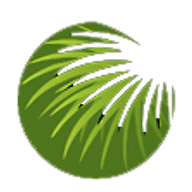 Cabbage Tree Landscape