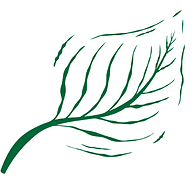 Life Cycle Gardening