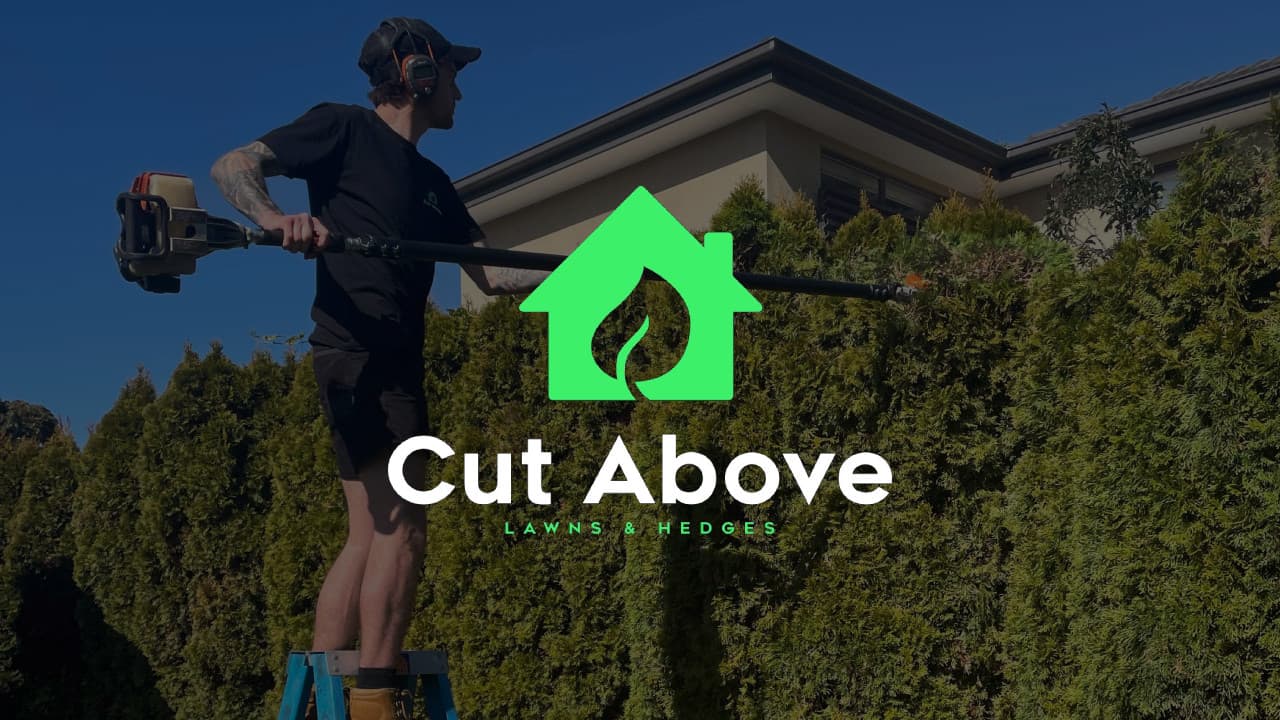 Cut Above Lawns & Hedges