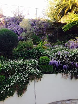 Able lawns and gardening services cover