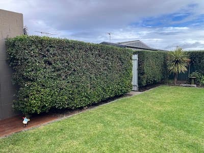 Blades & Spades Garden Services cover