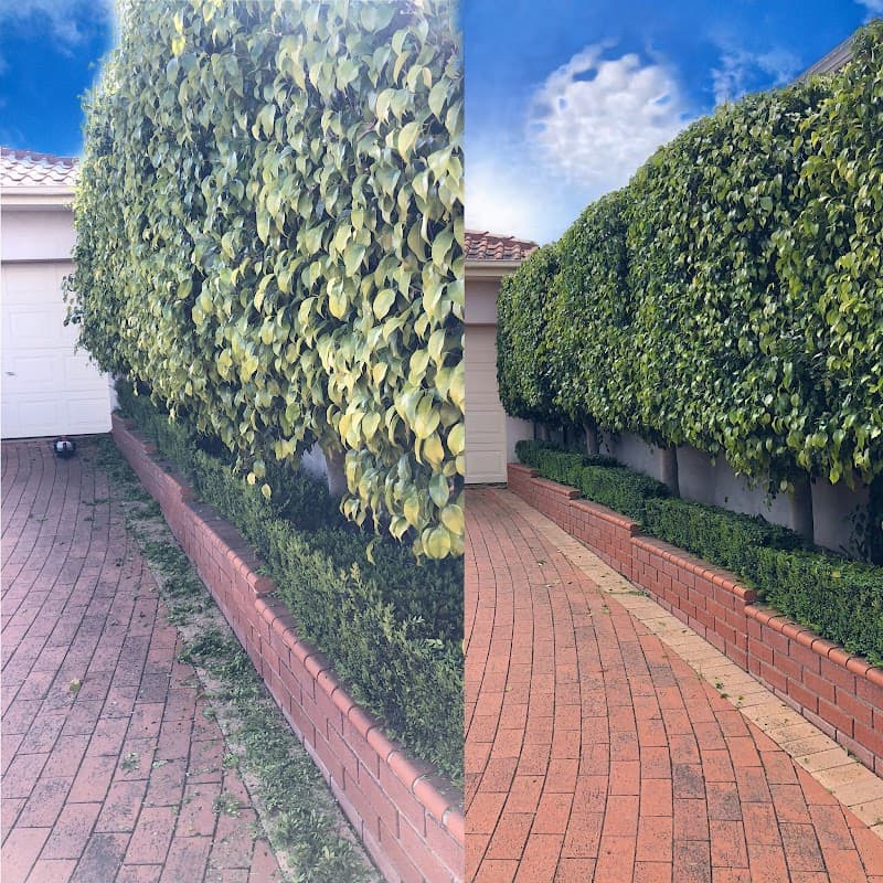 A Grade Garden And Tree Maintenance project 4