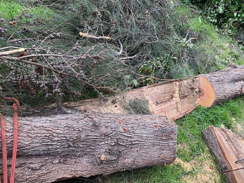 AAA AARDVARK TREE LOPPING AND GARDENING cover