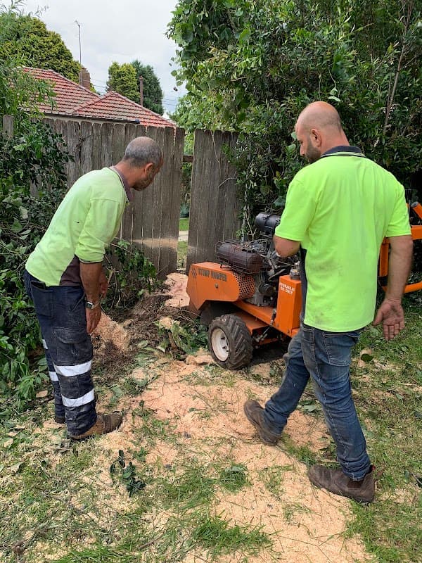 AAA AARDVARK TREE LOPPING AND GARDENING project 3