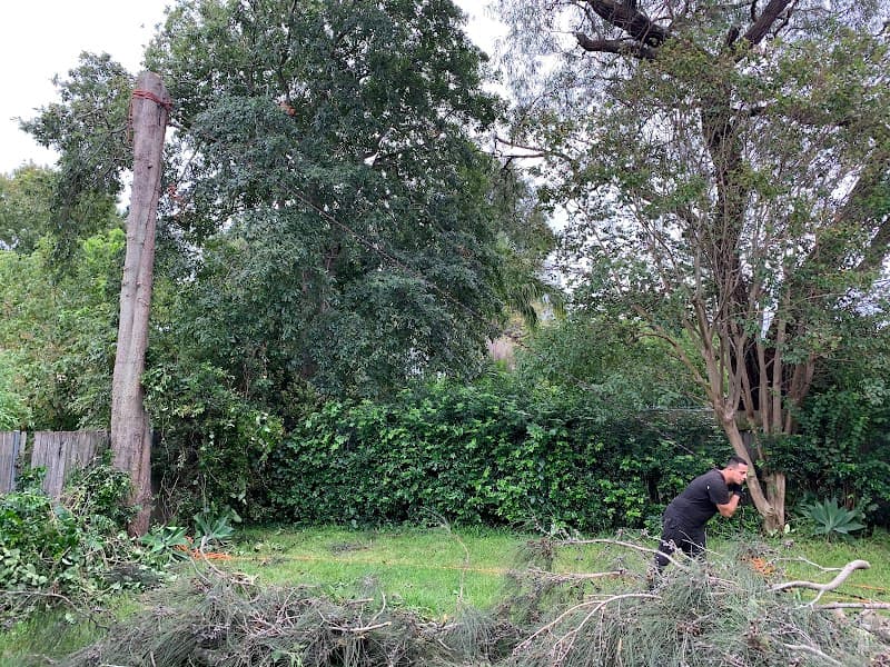 AAA AARDVARK TREE LOPPING AND GARDENING project 4