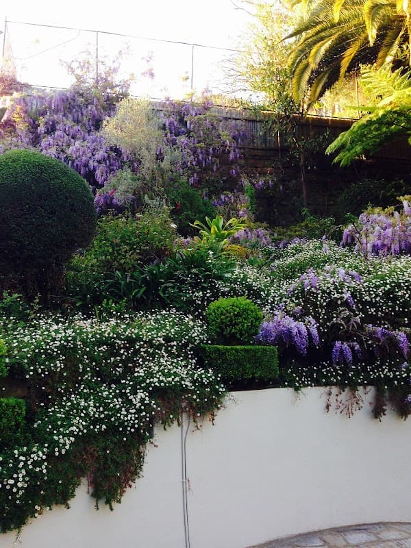 Able lawns and gardening services project 2