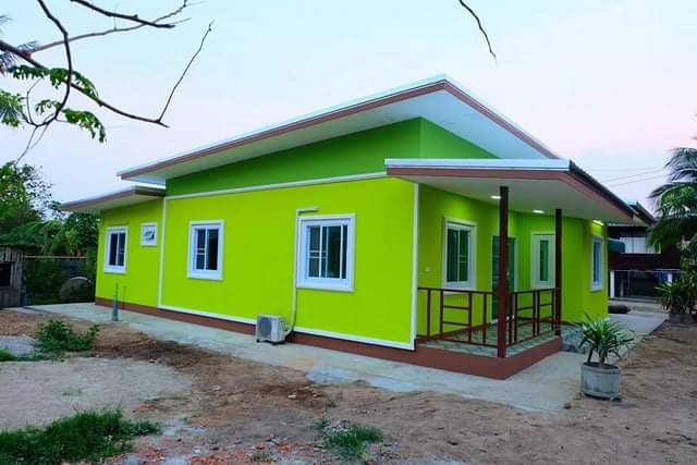ace painting service