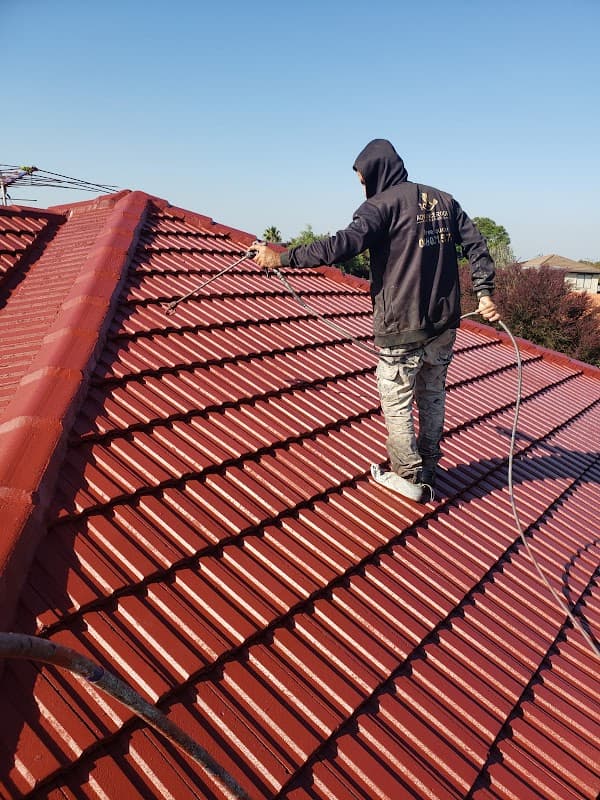 Advance Roof Care and painting cover