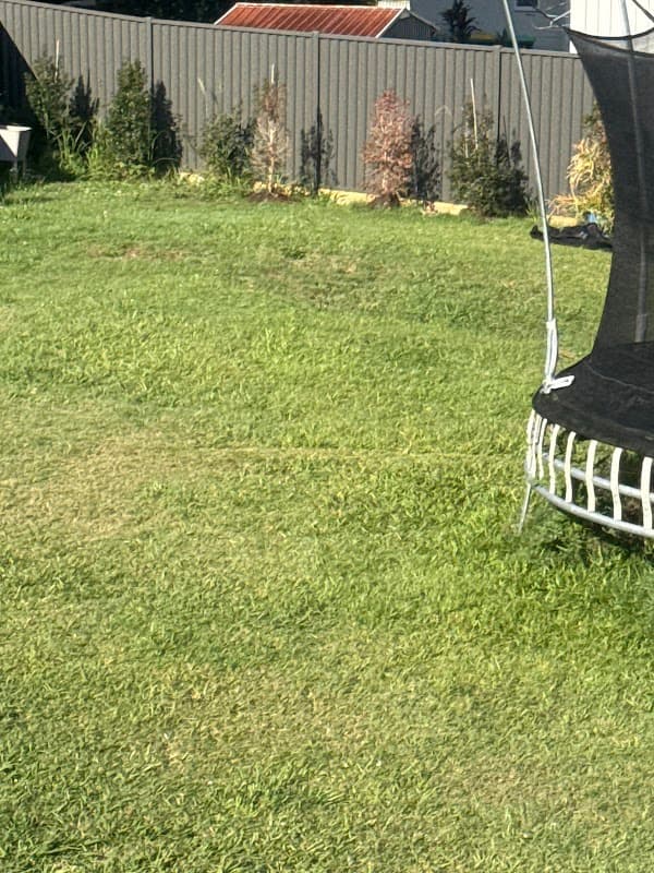 Affordable fencing goldcoast project 6