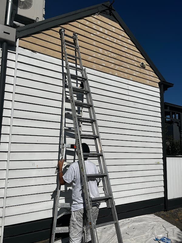 AG PAINTING & PLASTERING REPAIR SERVICES project 1
