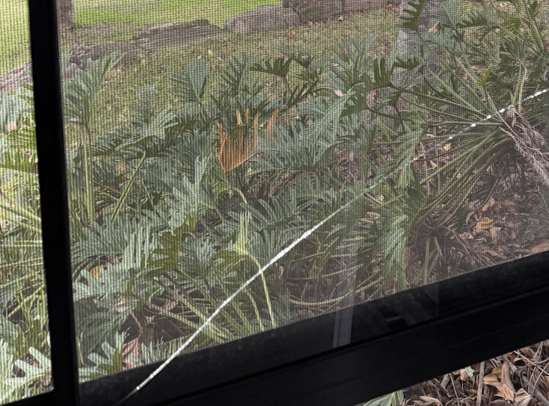 AGC Glass cover