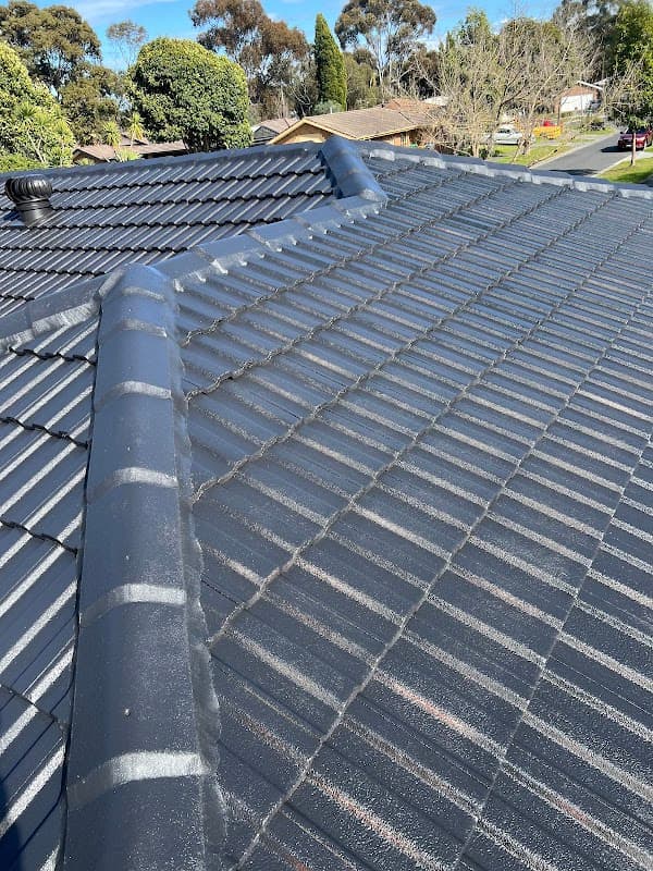 Ahu Roof Restoration Cleaning Painting Flexible Repointing Guttering replacement project 1