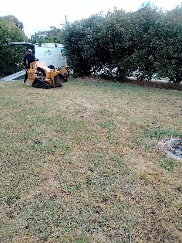 Akr tree services project 3