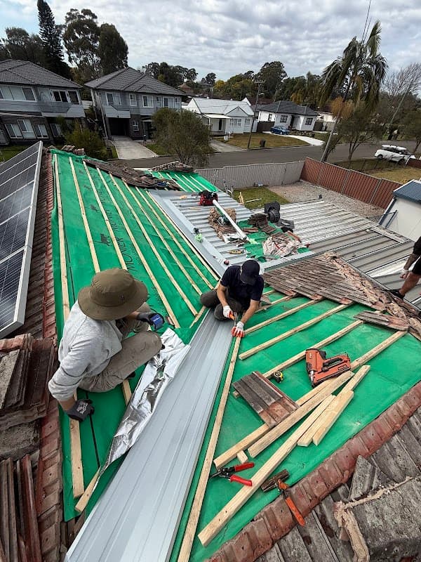 Alfa Roofing Services Pty Ltd project 4