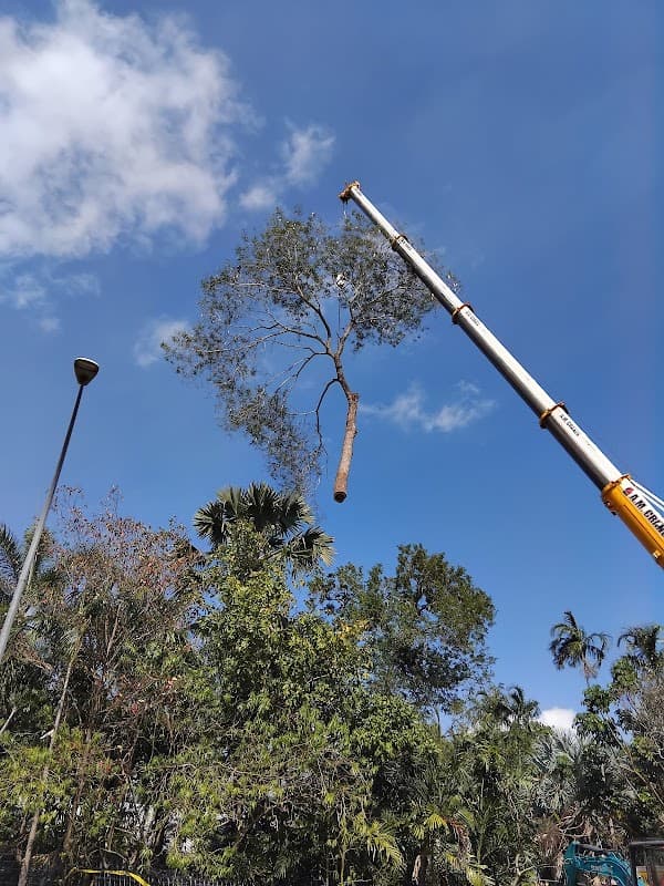 All About Garden Care Darwin project 4