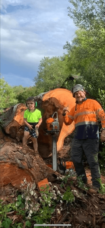 All tree services Canberra and Gosford project 1