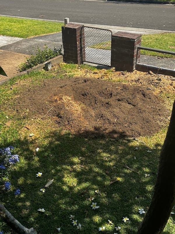 All tree services Canberra and Gosford project 3