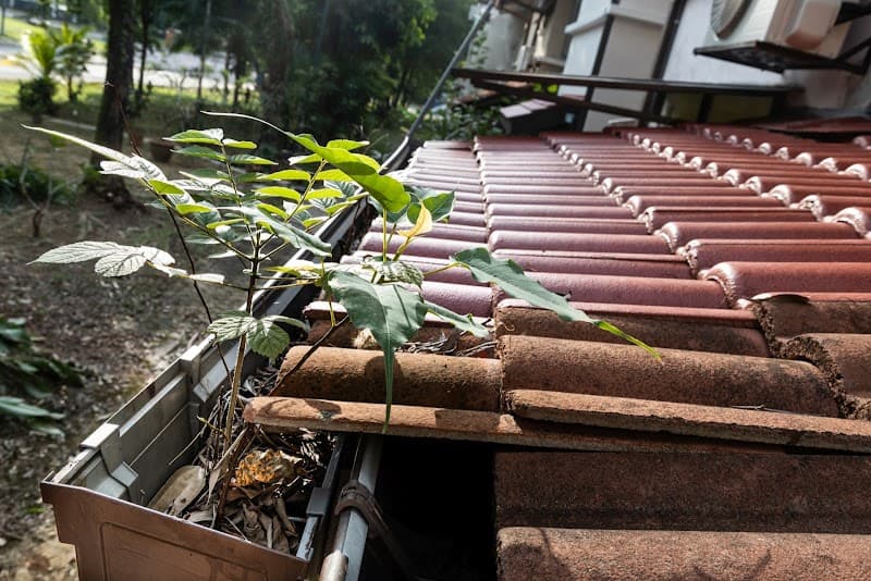 All-U-Need Gutter Cleaning project 1