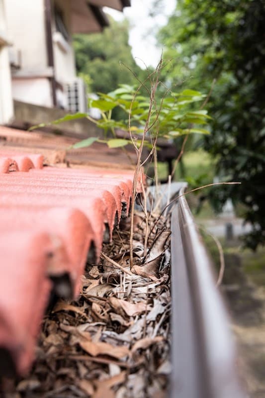 All-U-Need Gutter Cleaning project 4