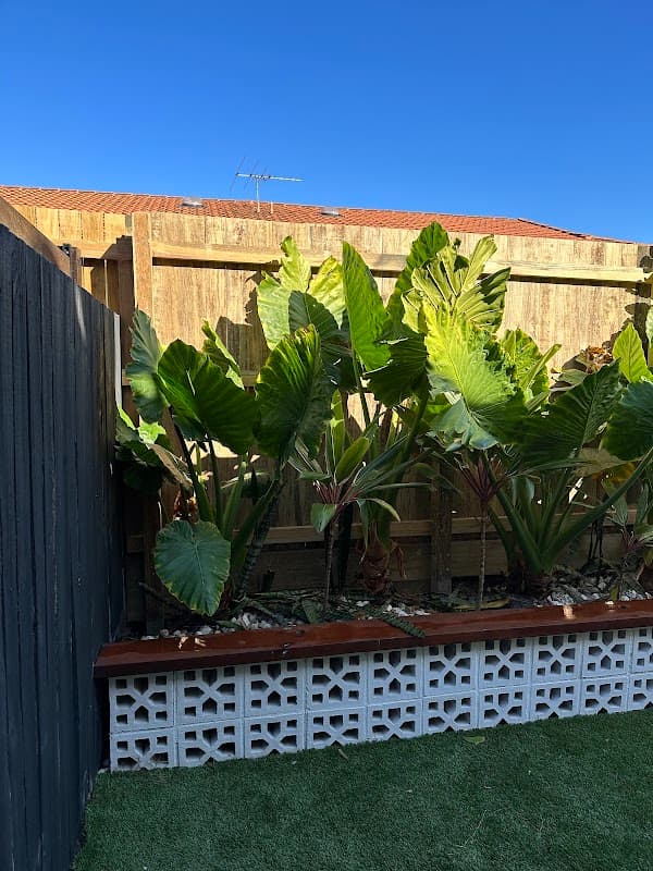 Amazing Fencing QLD project 3