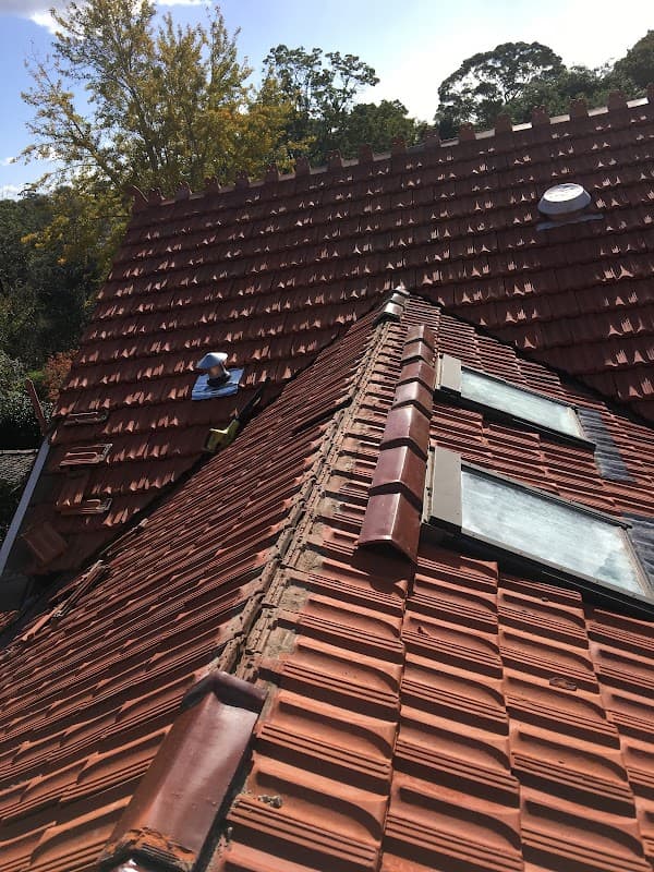Anti Leak Roofing
