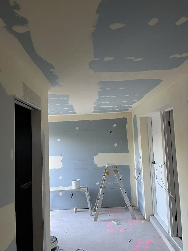 APro Painting Plastering Maintenance project 3