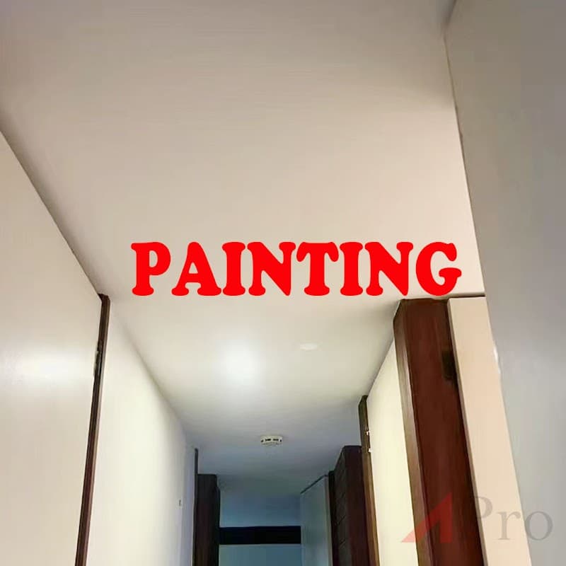 APro Painting Plastering Maintenance project 6
