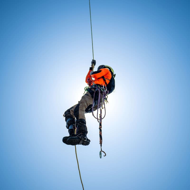 Ashgrove Tree Services project 1