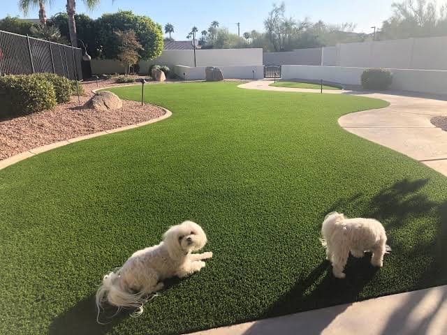 Auzzie Turf cover