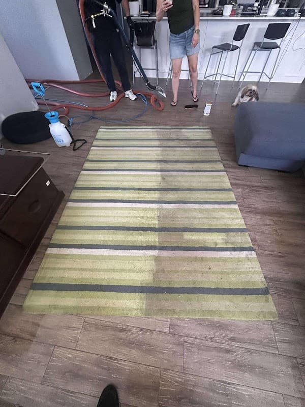 Avita Cleaning Services project 3