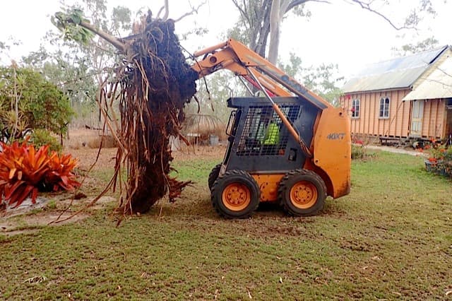 Ayr-Bowen Tree & Yardworx project 3
