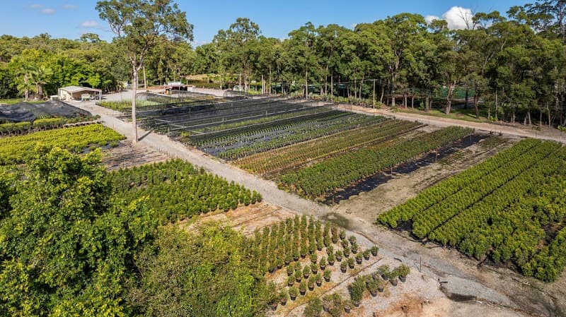 Barellan Nursery, Design & Landscaping project 1