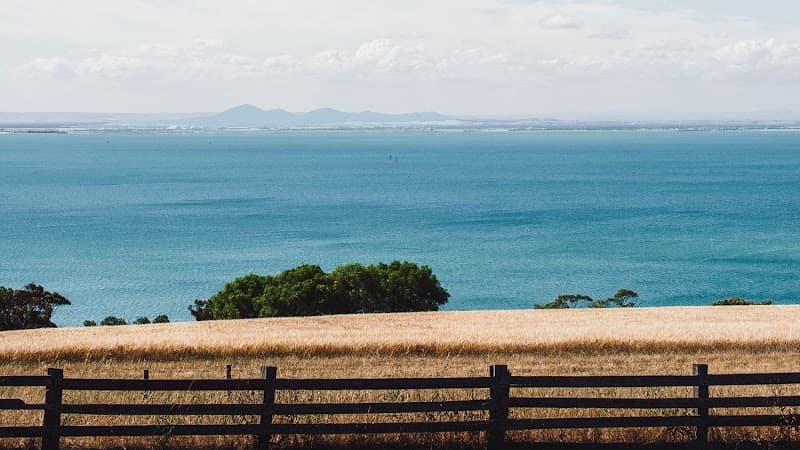 Bellarine Fences project 1